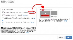 youtube　収益化（広告内容）